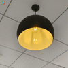 Amity Light decorative ceiling Light modern suspended light for hotel LL0503S