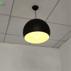 Amity Light decorative ceiling Light modern suspended light for hotel LL0503S