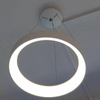 LED MODERN PENDANT LAMP DECORATIVE LIGHTING LL0201S-25W