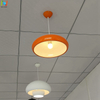 Dish Light restaurant suspended light decorative indoor Lighting LL0504S