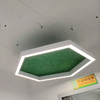 Hexagon Frame Light pendant acoustic Architectural Lighting LL0187SAC