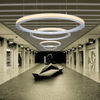 LED Ring Outer Pendant Light LL0208S