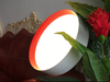 Up Down Surface Mounted Round Ceiling Light Fixture Rainbow Light LL0118UDM