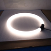 Circular 360deg Illumination Light Architectural Lighting AURORA LL0175S-PRO-50W