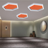Hexagon Frame Light Pendant Acoustic Architectural Lighting LL0187SAC