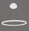 Decorative Lighting Ring Light (inner Emitting) LL0207S-40W