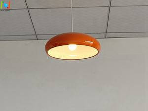Dish Light Restaurant Suspended Light Decorative Indoor Lighting LL0504S