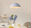 Crescent Light Fashion Decorative Ceiling Light Pendant Led LL0502S