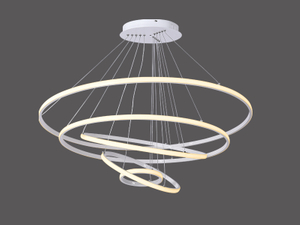 LED decorative circle light (outer emitting) LL0208S-80W