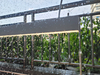 Outdoor Waterprood LED Lighting Surface Mounted Linear Light IP65