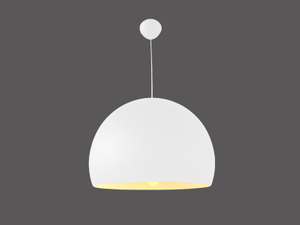 Amity Light decorative ceiling Light modern suspended light for hotel LL0503S