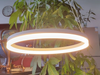Circle Hanging Decorative Light Fixture LL0203S